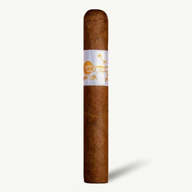 Принципл Сигарс Accomplice Classic White Band Robusto   АТП