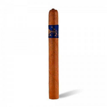 Принципл Сигарс Accomplice Connecticut Blue Band Churchill   АТП