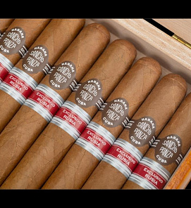 Санчо Панчо Росинанте  (10) коробка   АТП