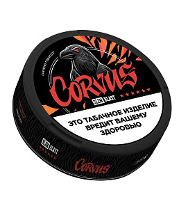 Корвус BLAST SLIM МЯТА
